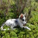 Fotos de mis nenes